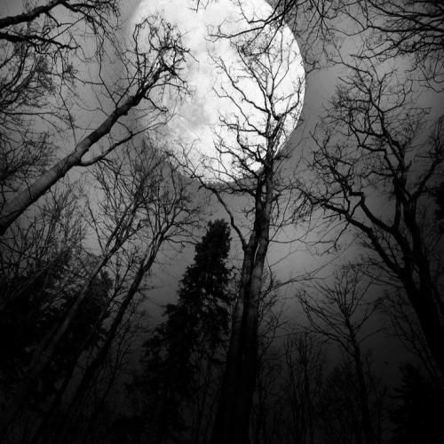  صد بار برات نامه نوشتم که دلم هواتو کرده