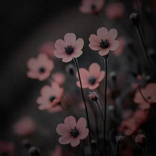 خیزو جامه نیلی کن روزگار ماتم شد