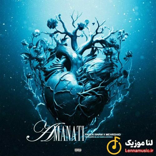 یاسر بینام امانتی
