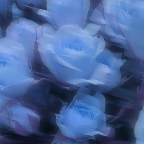 کشیدی رو بخار شیشه یه قلب گفتی نه میتونم بمونم نه میشه برم