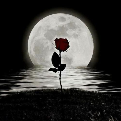  تنها اومدم تنهام میرم یچی بده دود کنم بره یادمو