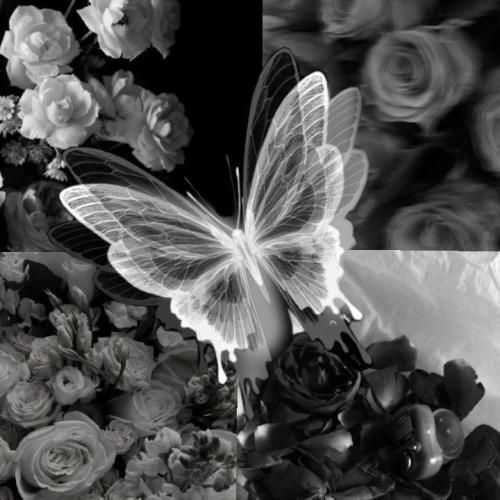  اون نمیدونه که قلبم واسش میمیره