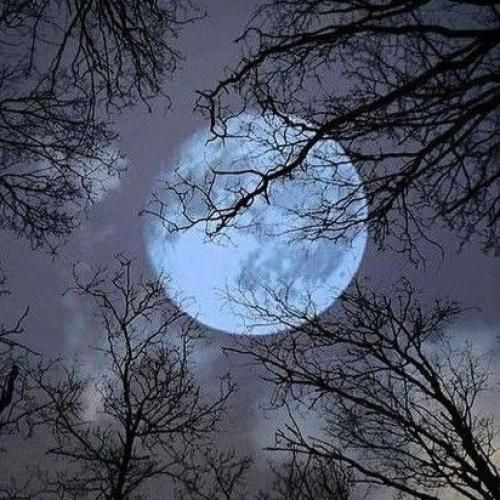  یچی بده دود کنم بره یادمو یچی بده دود کنم یادم برن آدما