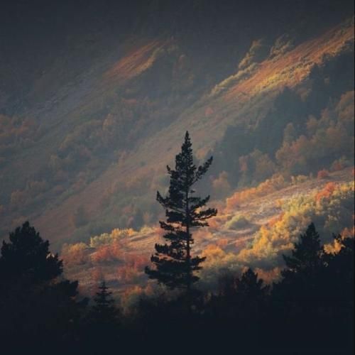 سنا برزنجه چاره نویس