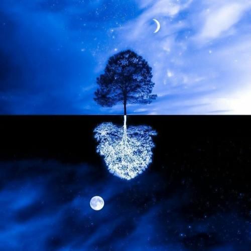 ولی تو بد میکردی حالمو چه بودی چه نبودی