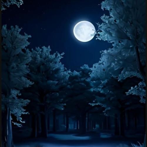  منم از وقتی که تو رفتی فقط به عکسا نگاه کردم