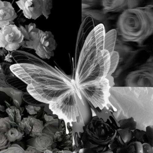 Cem Adrian Derinlerde