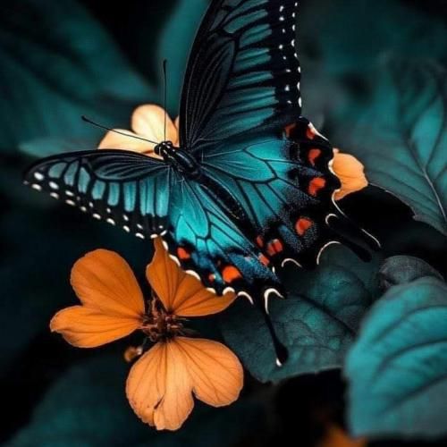  ای وای گلم وای گله دلبر نازو خوشگلم