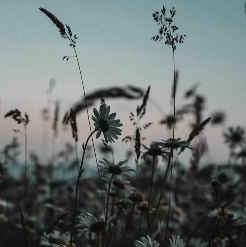  تویی سهم من و نگیرش ازم و ایندفعه نرو اگه دیدیم همو