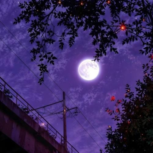  میگفتی عشقمون جاودانه اس ققنوسه ‎در میاد یه روز از خاکستر