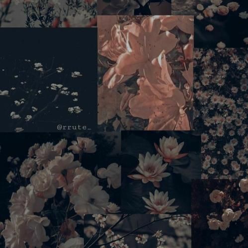  اشک من پیرهنتو تر کرده همجا عطر تو پیچیده ولی هوش مصنوعی