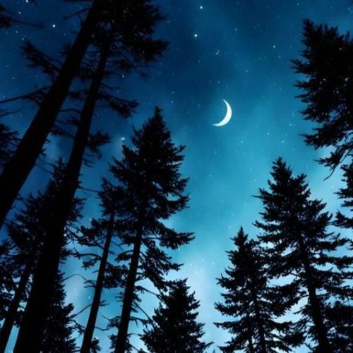  میدونم دیگه بر نمیگردی تو چرا باهام اینهمه سردی تو