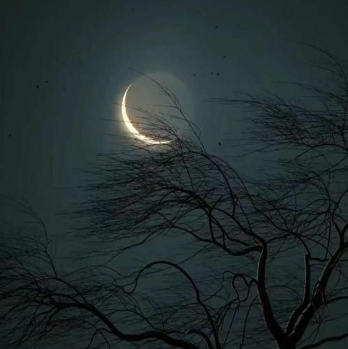  من خوابم نمیبره خاموشی ولی میخوام بازم بگیرمت با صدای پسر اینستایی