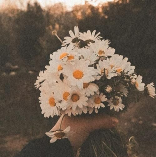 یهو چشات هر کی بود تو راحت بغل کردی