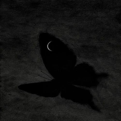 کاش واسه تحویل سال ذوق داشته باشم