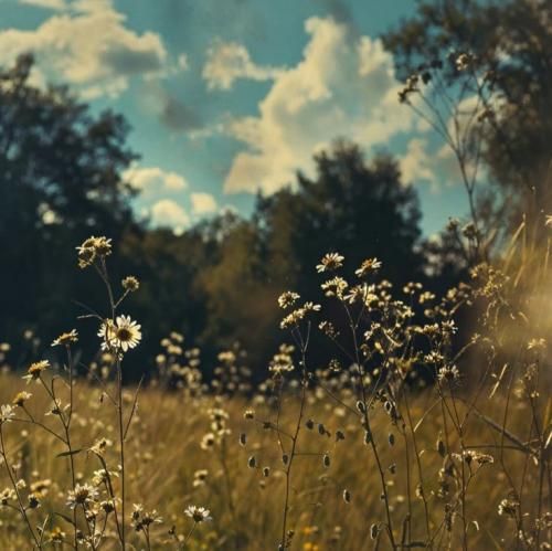  اوکی لتس دانس نمی دیم آوانس اوکی لتس دانس ای آدم خوش شانس