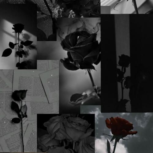 فاطمه عطایی ولی من هنوز بعد تو به هیچکس دل ندادم