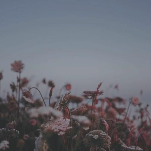 روزی که با تو بودم روز خوش زندگی روزای رفته رفته
