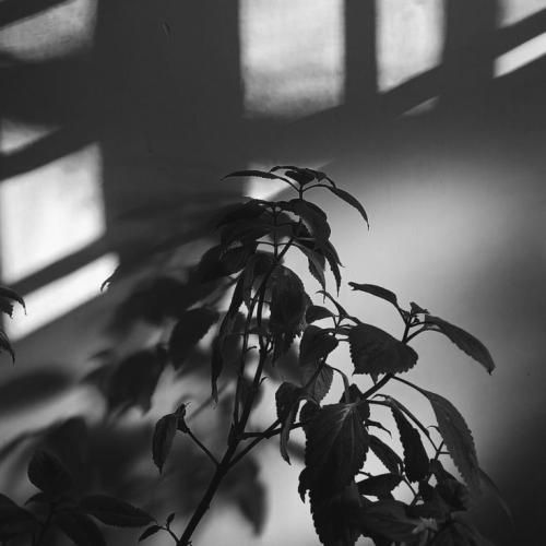 تابوت ها رو زمینه تابوت ها رو هوان