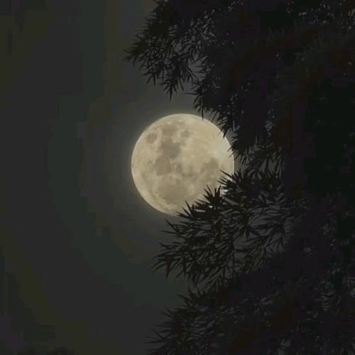 کاشکی غریبه می موندی ما تیم بودیم حریف کی بودی