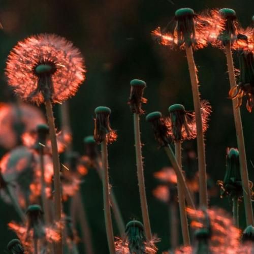  اگه دیدم تورو بیب میگیرم تورو سفت تا همیشه، میدم این قولو بهت