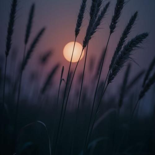 مهران گونی یری یری گنگی گنگی لفظ الع جنگی جنگی