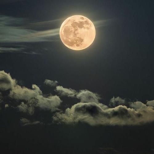  اگه دوستت ندارم حقته حقته هر چی به روزت بیارم حقته