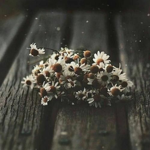 میشم بی تو سر گردون دلمو بم برگردون هوش مصنوعی