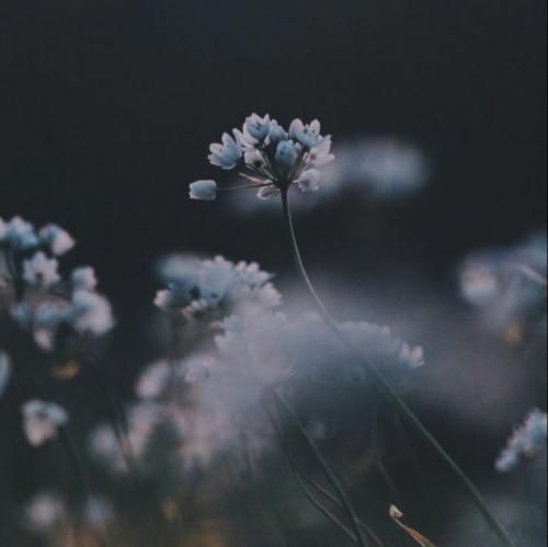 با اینکه تو شدی اکسم ولی من هرکاری میکنم