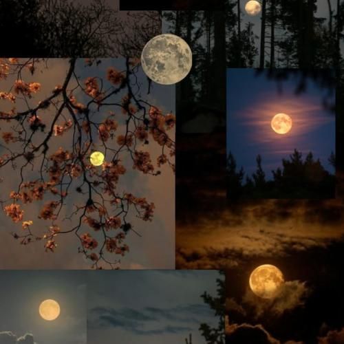 نبودی نبودی رفتی ولی بعضی شبا سر بزن به خواب من