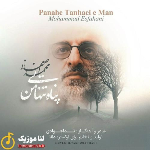 محمد اصفهانی پناه تنهاییه من