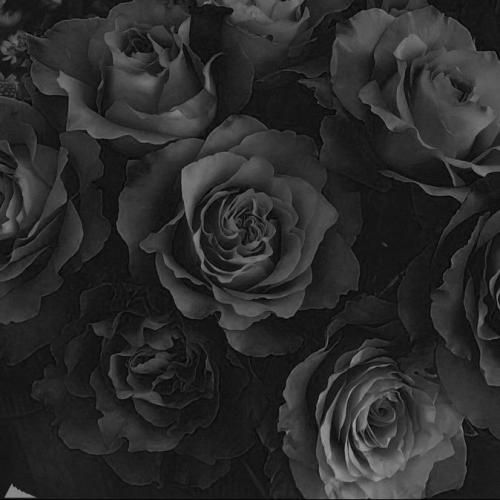 گیز بو نه بلا