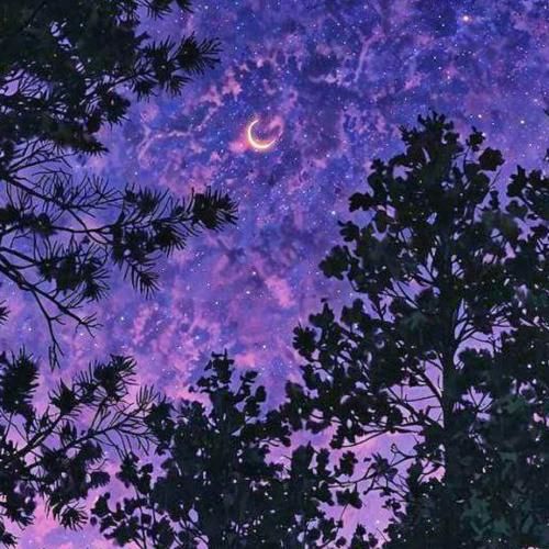 بزن شهرو خاک کن آدماشو چال کن