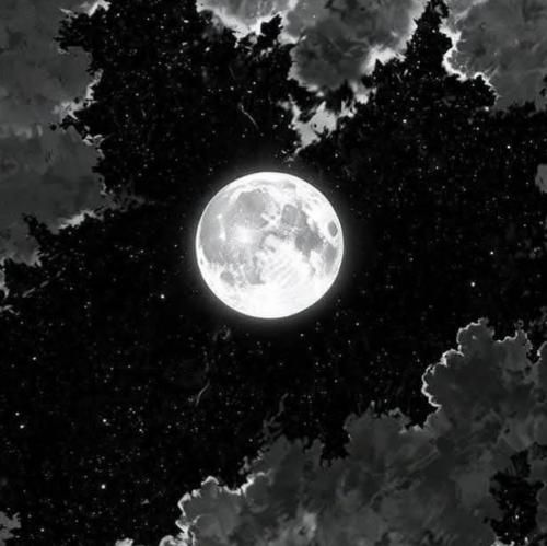  شما شنیدین ما دیدیم و بوی خیابون میدیم و همه جا میریم