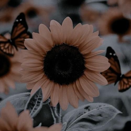  امشبم میونه این خاطره های سردم بی رمق دنبال اون هوش مصنوعی