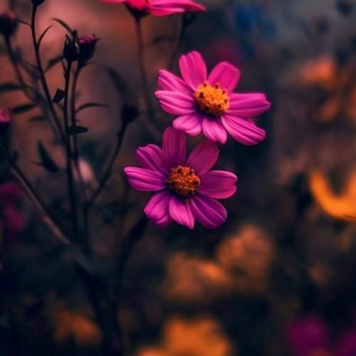 مهران گونی دیلبرم سیندرلا منم اونون عری واویلا