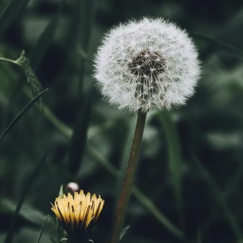  به رگبار بستی منو میگیری هربار مستی منو