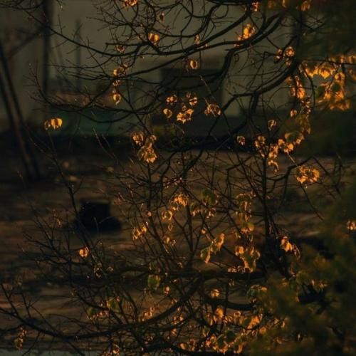  فکر کردم فراموشت کردم تموم ولی لیوانم پر خاطرت پهلوم