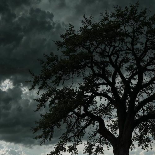 کی میرم با کی میام با کی میری با کی میای