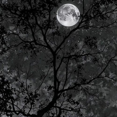 خوب من شبیه تو مگه چند تا هست هوش مصنوعی