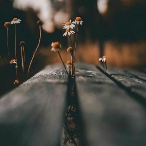  خط کشیدم رو خاطراتت هنو نقطه ضعفم چشاته