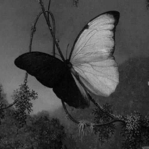  اگه اجازشو بدی برات بمیرم فقط تو مهربون بمون هوش مصنوعی