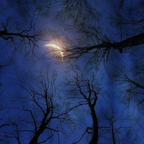  از زمانی که تو را بین خلایق دیدم مثل یه فاتح مغرور با صدای مرد