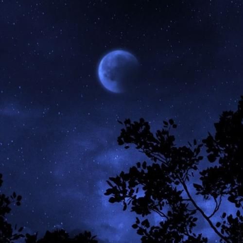 من دلم نمیخواست ولی از پس همه چی تنهایی برام