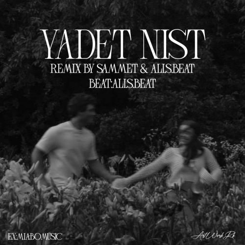 صامت یادت نیست