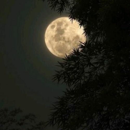 ناراحت نشو خوشگل شرمنده دوست دخترت اومد