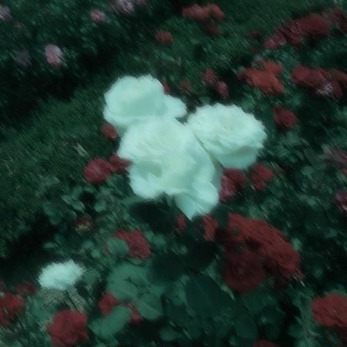  خارجی اضطراب مدام منو تحت فشار میاره بی صدا احساسش میکنم