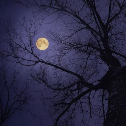  اعتماد میده ترس اعتماد میده جوز اعتماد میشه تش