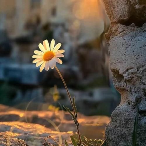 دلم پره ازت بیشتر از همیشه الان زدم از خودم