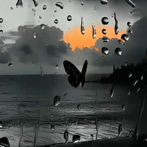  منم اون شیر که واسه پرنده پدری کرد